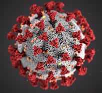 Slika koronavirus